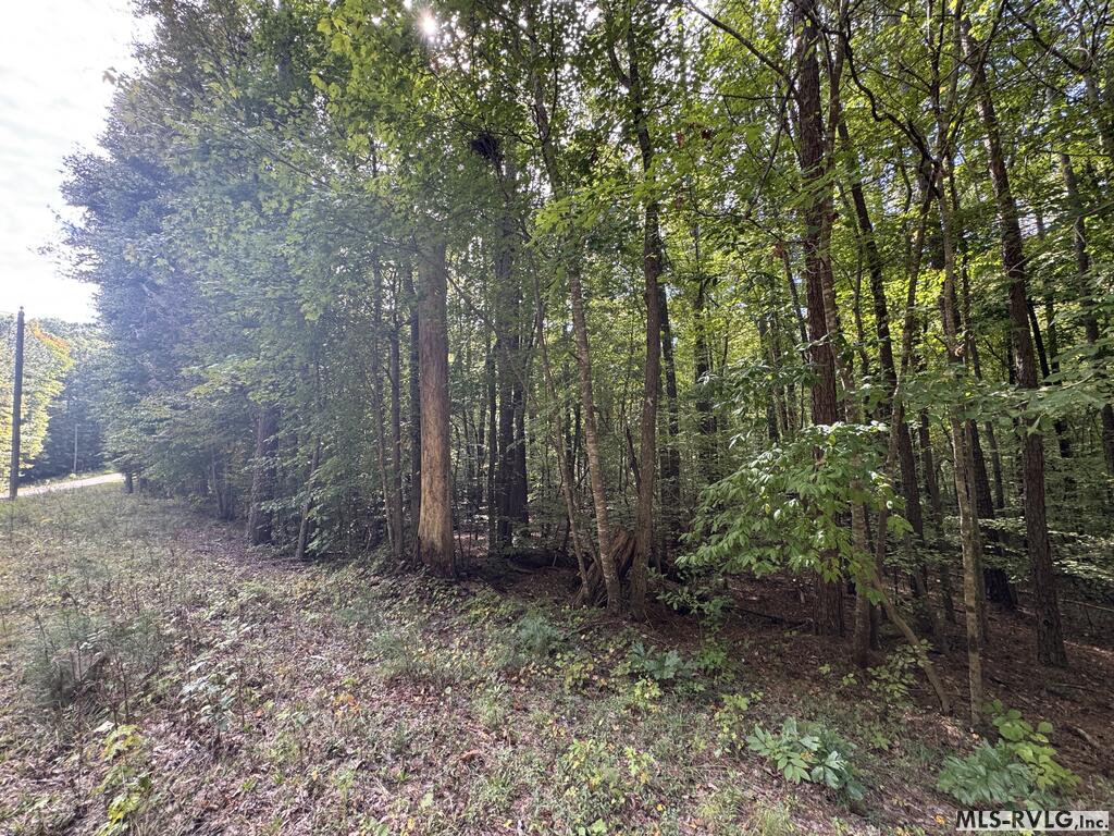 Residential Lot-Restricted at Lot Taylors Pointe Lane, Henderson NC 27537, photo 21 of 34