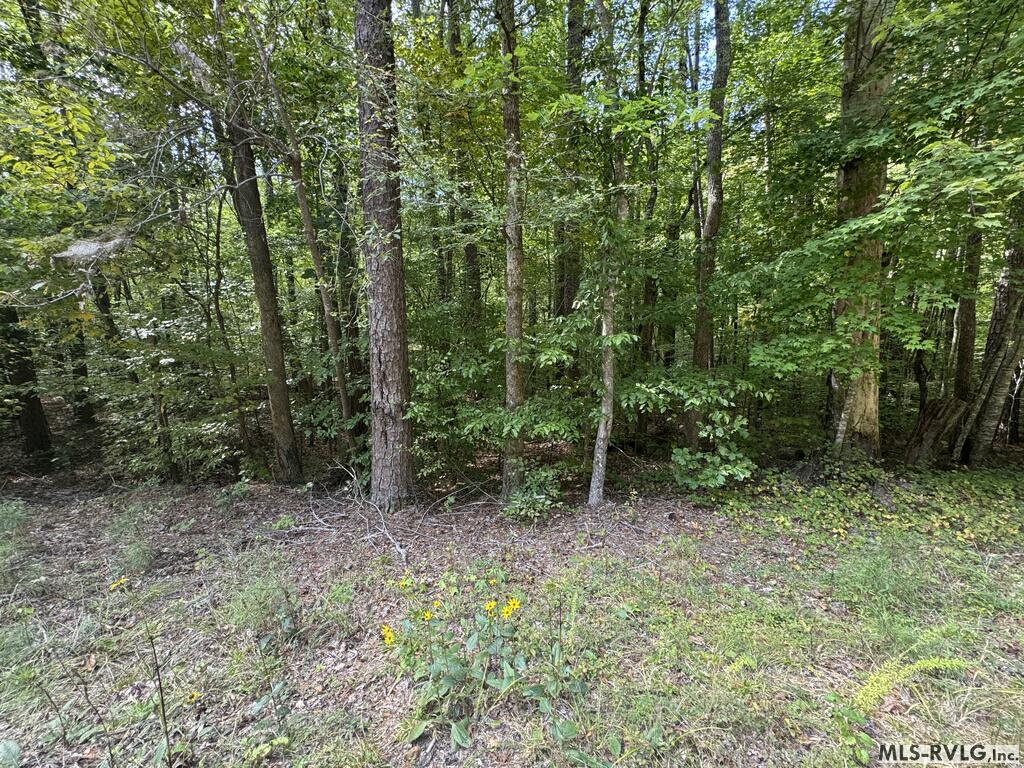 Residential Lot-Restricted at Lot Taylors Pointe Lane, Henderson NC 27537, photo 27 of 34