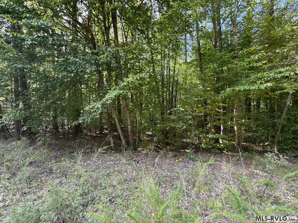 Residential Lot-Restricted at Lot Taylors Pointe Lane, Henderson NC 27537, photo 29 of 34