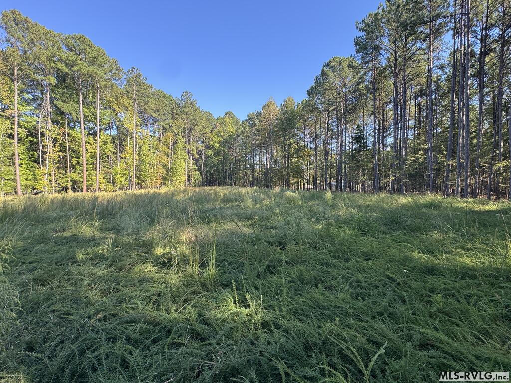 Residential Lot-Restricted at Lot Taylors Pointe Lane, Henderson NC 27537, photo 5 of 34