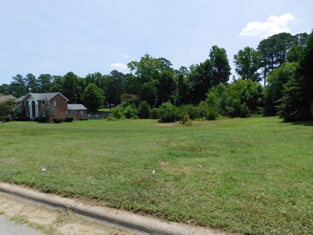 Residential Lot-Restricted at 0 Chestnut Street, Roanoke Rapids NC 27870, photo 10 of 11