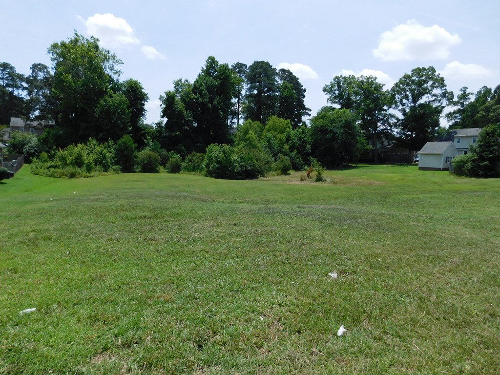 front view - 0 Chestnut Street, Roanoke Rapids NC 27870