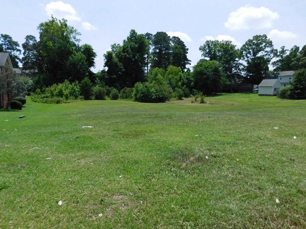 front view - 0 Chestnut Street, Roanoke Rapids NC 27870