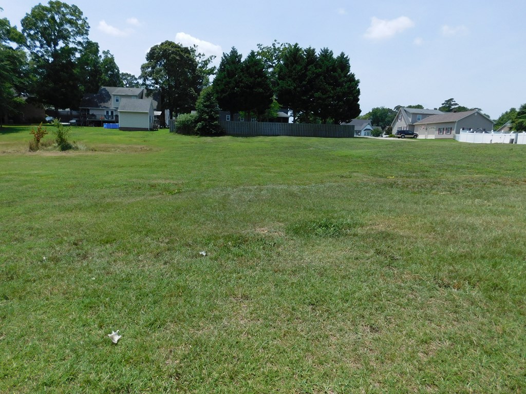 Corner of lot looking toward street - 0 Chestnut Street, Roanoke Rapids NC 27870