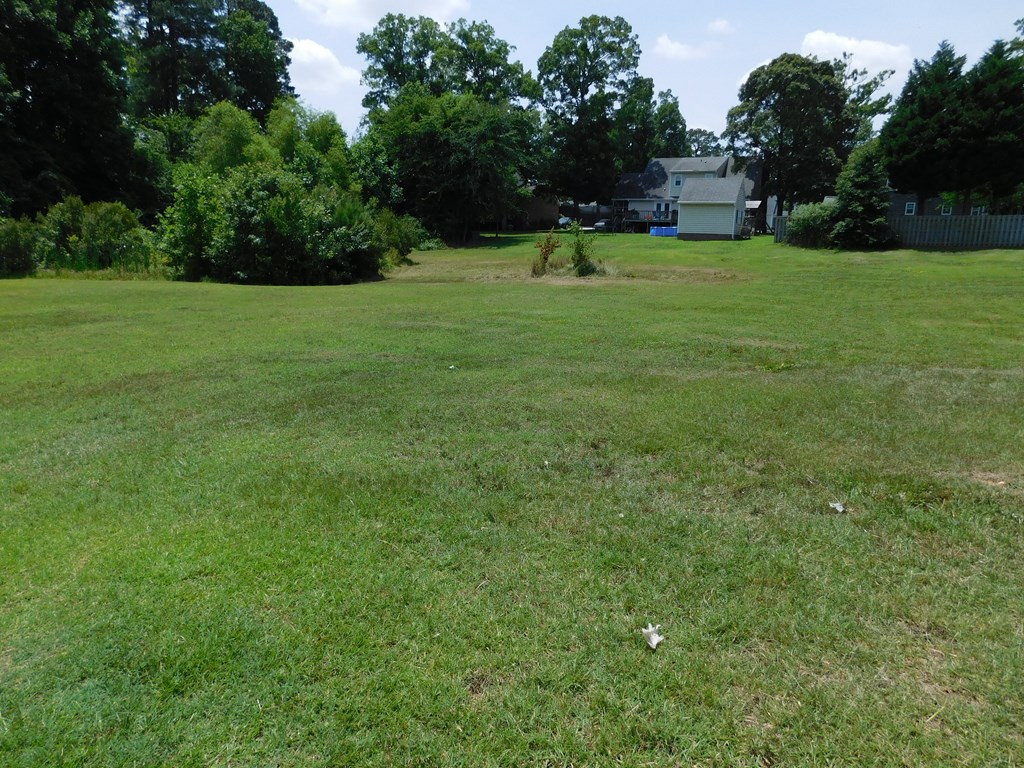 side looking to side - 0 Chestnut Street, Roanoke Rapids NC 27870