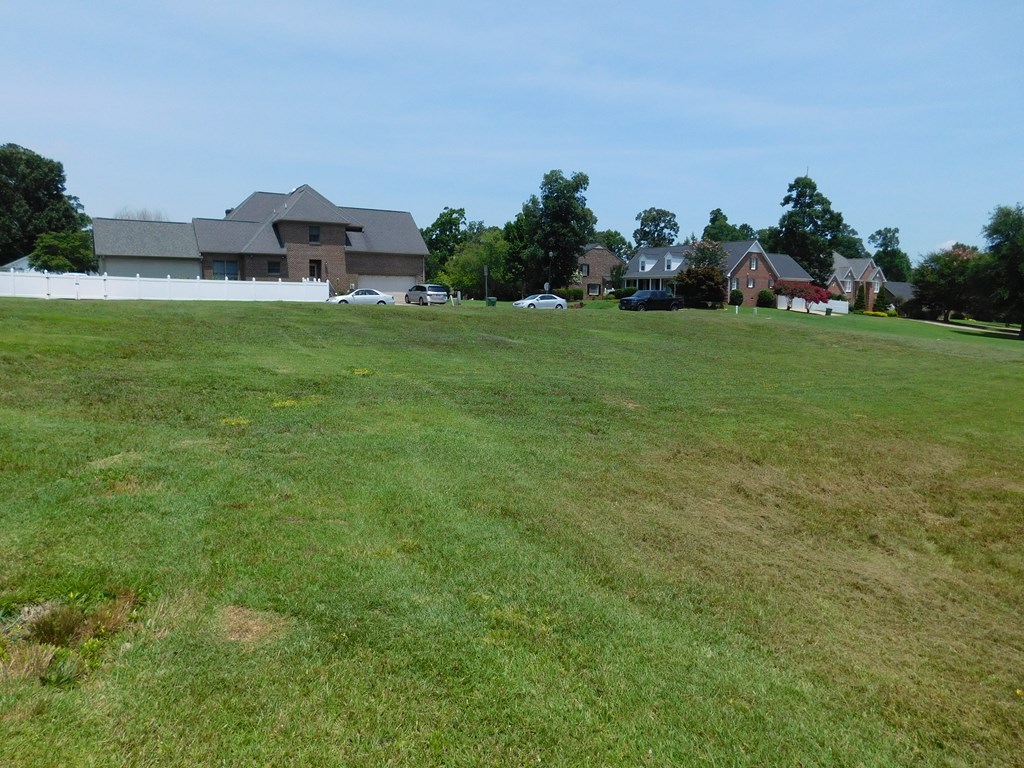 from back of lot looking toward street - 0 Chestnut Street, Roanoke Rapids NC 27870