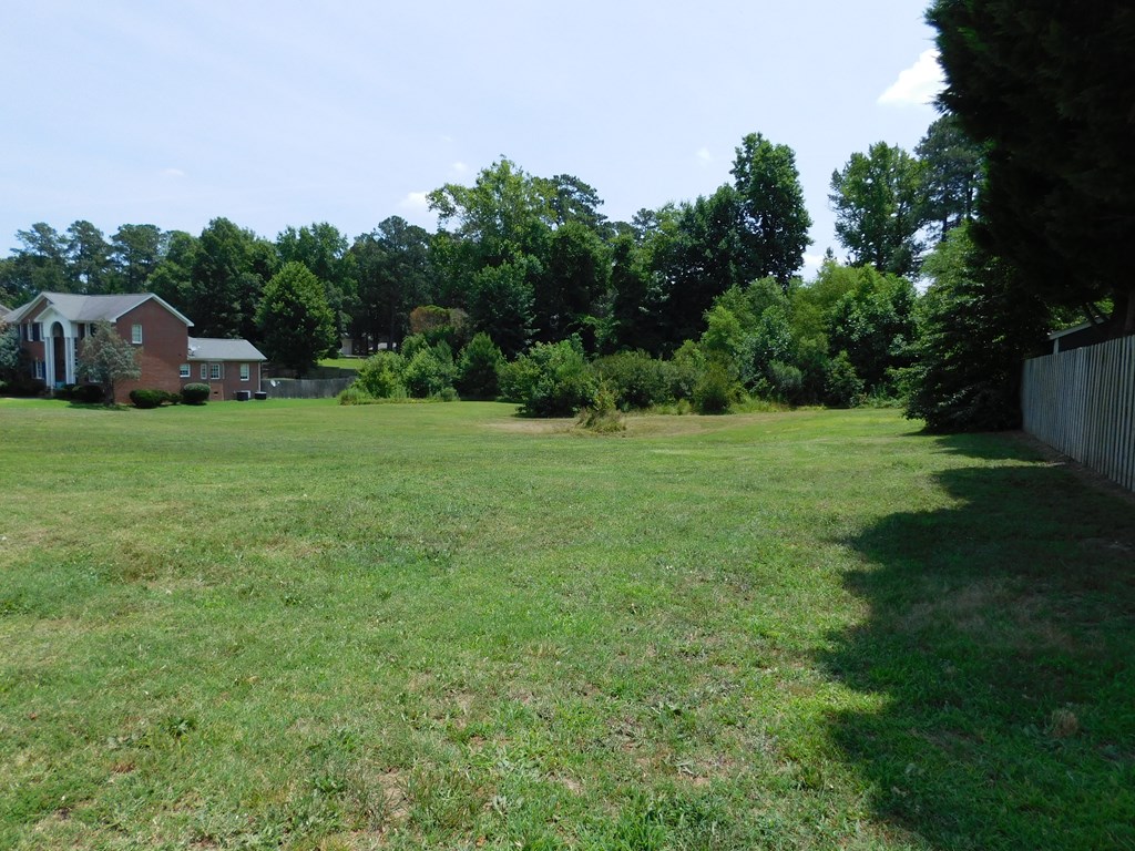 street corner looking back - 0 Chestnut Street, Roanoke Rapids NC 27870