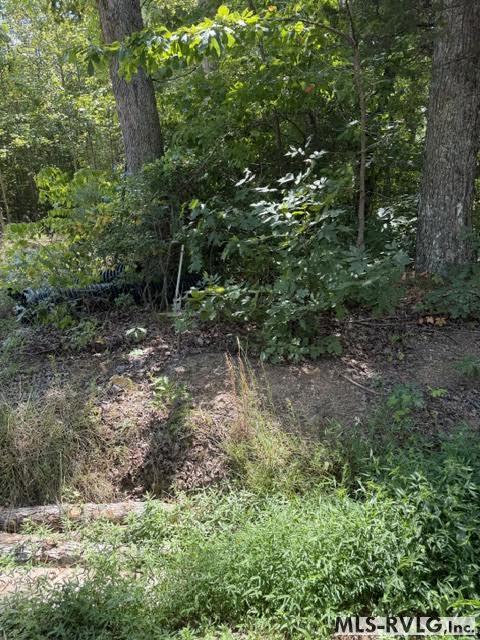 000 Go Cart Rd, Brodnax VA 23920