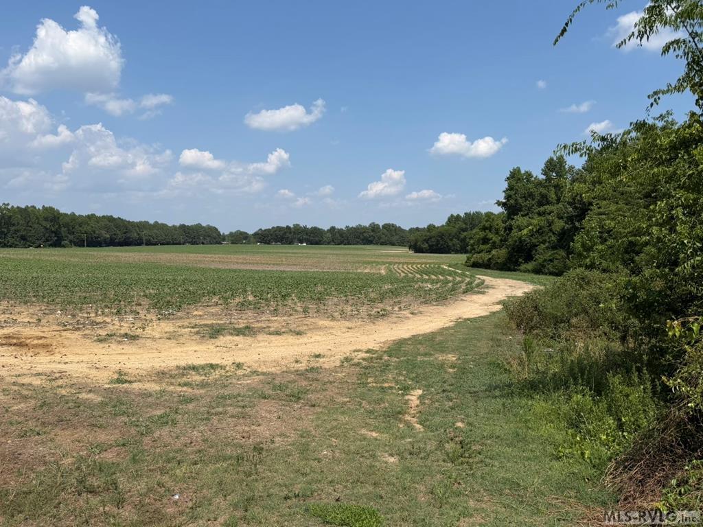 0 Sam Powell Dairy Road, Roanoke Rapids NC 27870