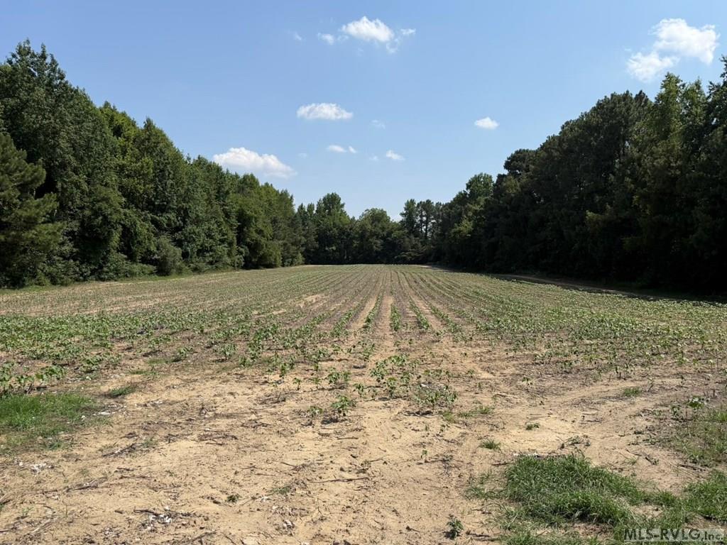 Acreage at 0 Sam Powell Dairy Road, Roanoke Rapids NC 27870, photo 7 of 9