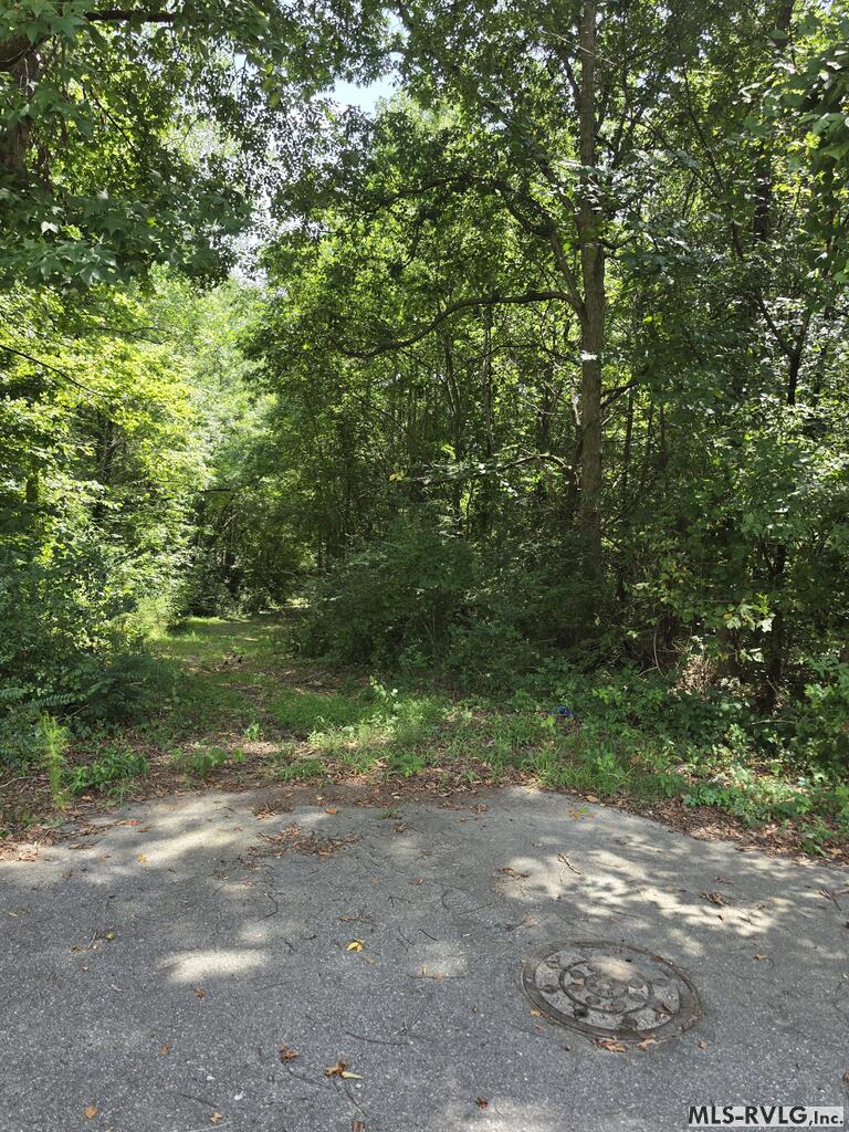 Acreage at TBD Brickell St., Roanoke Rapids NC 27870, photo 2 of 3