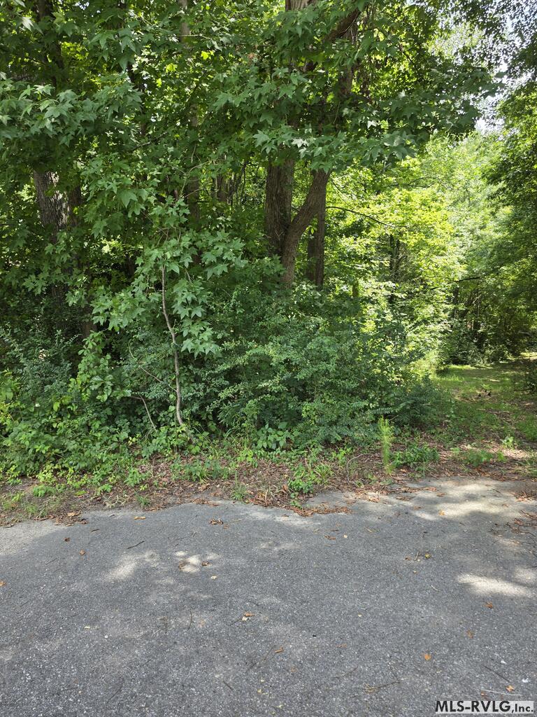 Acreage at TBD Brickell St., Roanoke Rapids NC 27870, photo 3 of 3