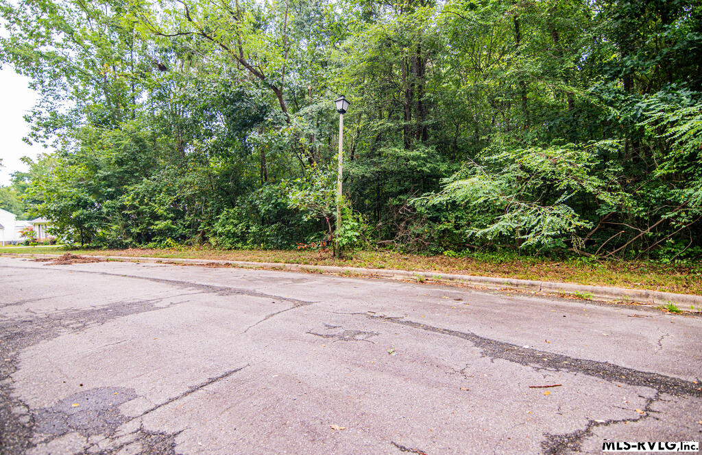 Residential Lot-Restricted at Lot # 12 Downs Brook Dr, Roanoke Rapids NC 27870, photo 2 of 9