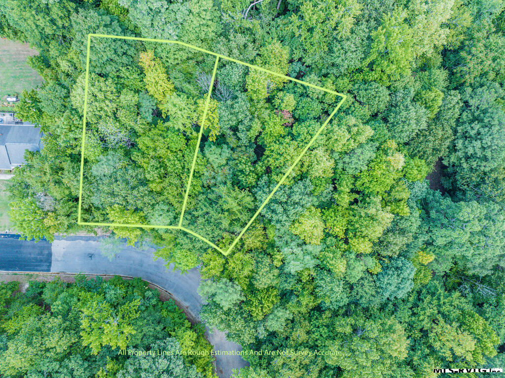 Lot 12 is the first lot on left - Lot # 12 Downs Brook Dr, Roanoke Rapids NC 27870