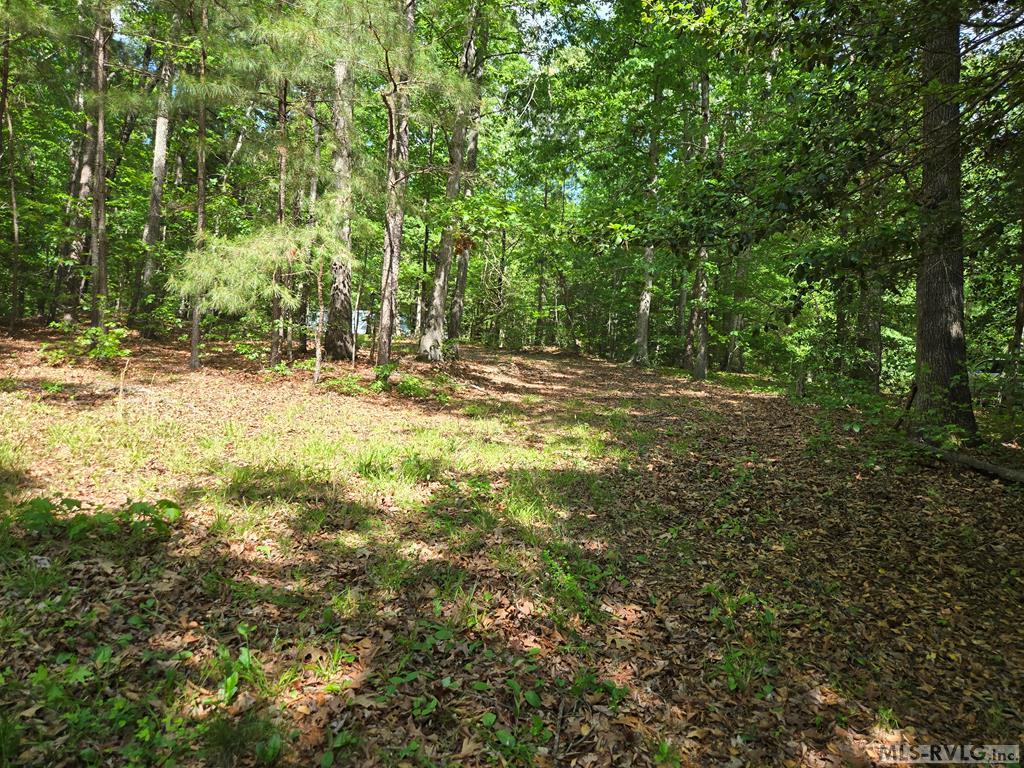 Residential Lot-Restricted at tbd Great Creek Drive, Bracey VA 23919, photo 4 of 5