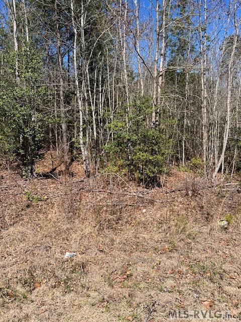 Acreage at 000 Greentown Drive, Lawrenceville VA 23868, photo 11 of 19