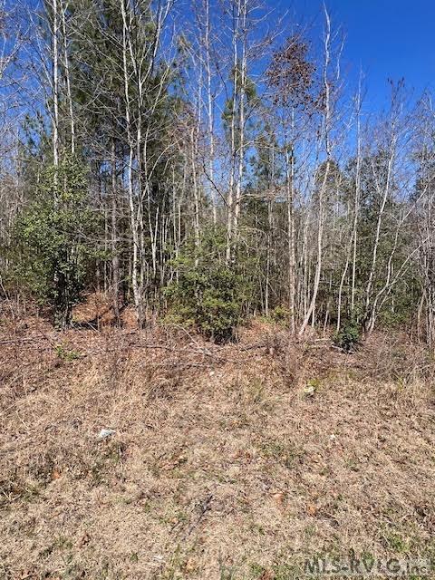 Acreage at 000 Greentown Drive, Lawrenceville VA 23868, photo 13 of 19