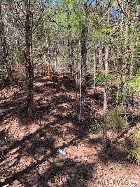 Acreage at 000 Greentown Drive, Lawrenceville VA 23868, photo 14 of 19