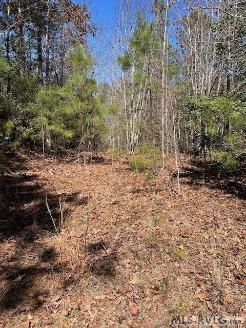 Acreage at 000 Greentown Drive, Lawrenceville VA 23868, photo 15 of 19