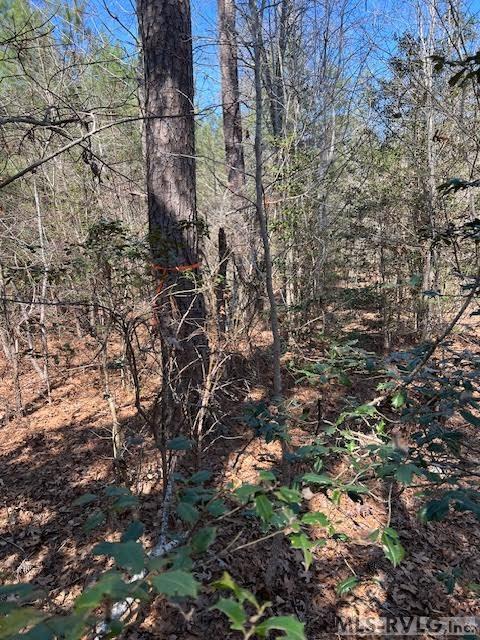 Acreage at 000 Greentown Drive, Lawrenceville VA 23868, photo 16 of 19