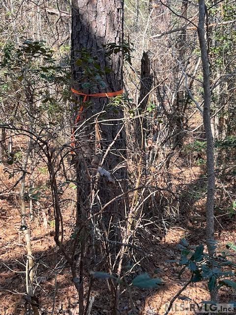 Acreage at 000 Greentown Drive, Lawrenceville VA 23868, photo 17 of 19