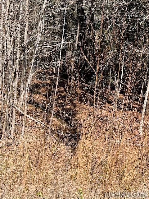 Acreage at 000 Greentown Drive, Lawrenceville VA 23868, photo 18 of 19