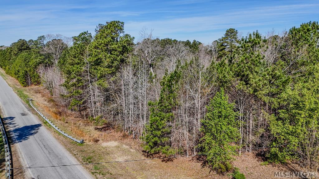 Acreage at 000 Greentown Drive, Lawrenceville VA 23868, photo 4 of 19