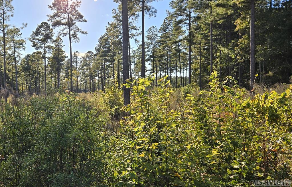 Main View - Lot 3 Christanna Hwy, Lawrenceville VA 23868