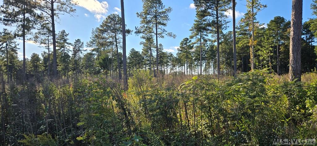 Residential Lot-Unrestricted at Lot 3 Christanna Hwy, Lawrenceville VA 23868, photo 2 of 6