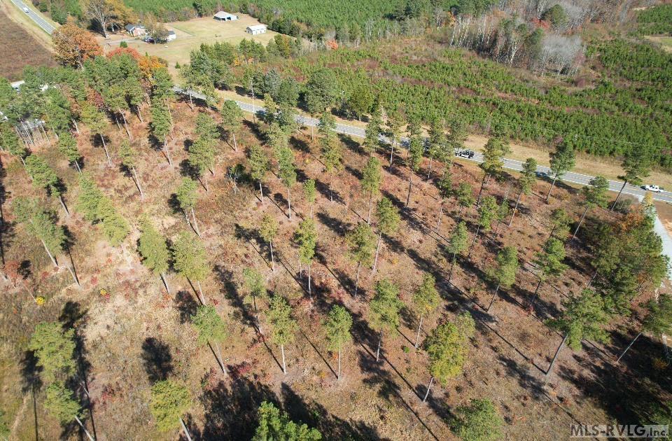 Residential Lot-Unrestricted at Lot 3 Christanna Hwy, Lawrenceville VA 23868, photo 5 of 6