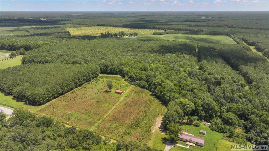 Main View - TBD Hwy 258, Rich Square NC 27869