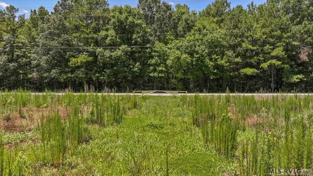 Acreage at TBD Hwy 258, Rich Square NC 27869, photo 10 of 19