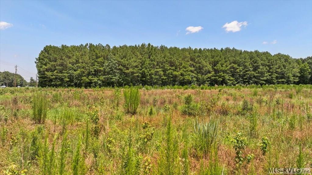 Acreage at TBD Hwy 258, Rich Square NC 27869, photo 11 of 19
