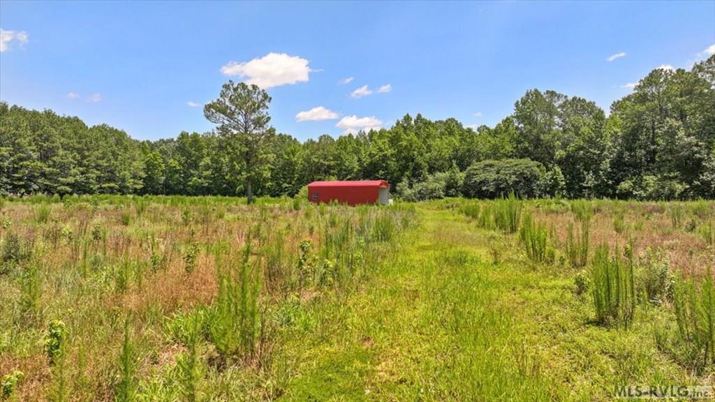 Acreage at TBD Hwy 258, Rich Square NC 27869, photo 12 of 19