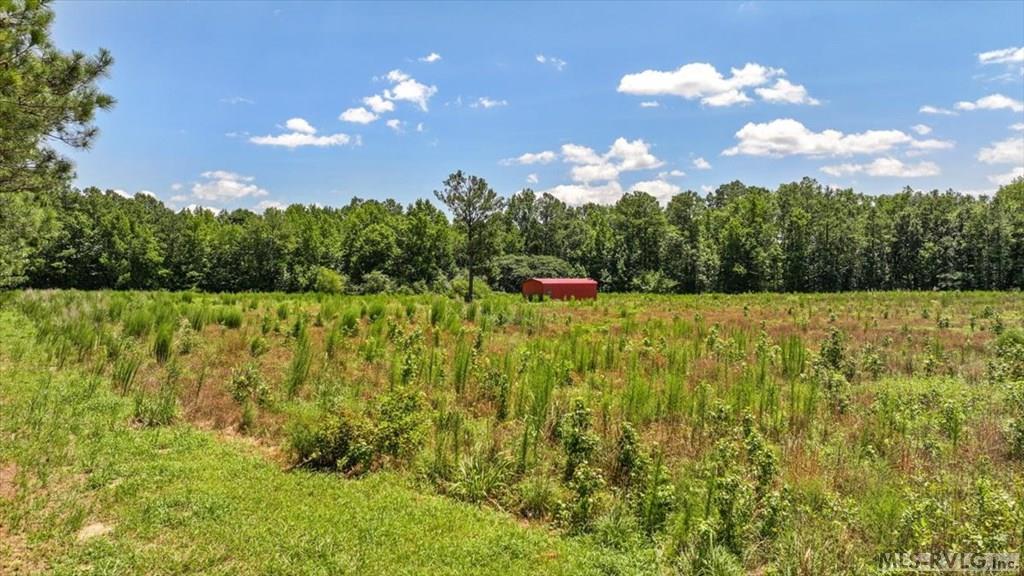Acreage at TBD Hwy 258, Rich Square NC 27869, photo 13 of 19