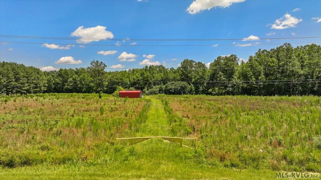 Acreage at TBD Hwy 258, Rich Square NC 27869, photo 14 of 19