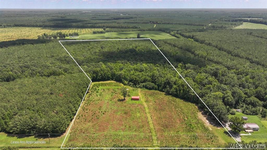 Acreage at TBD Hwy 258, Rich Square NC 27869, photo 15 of 19