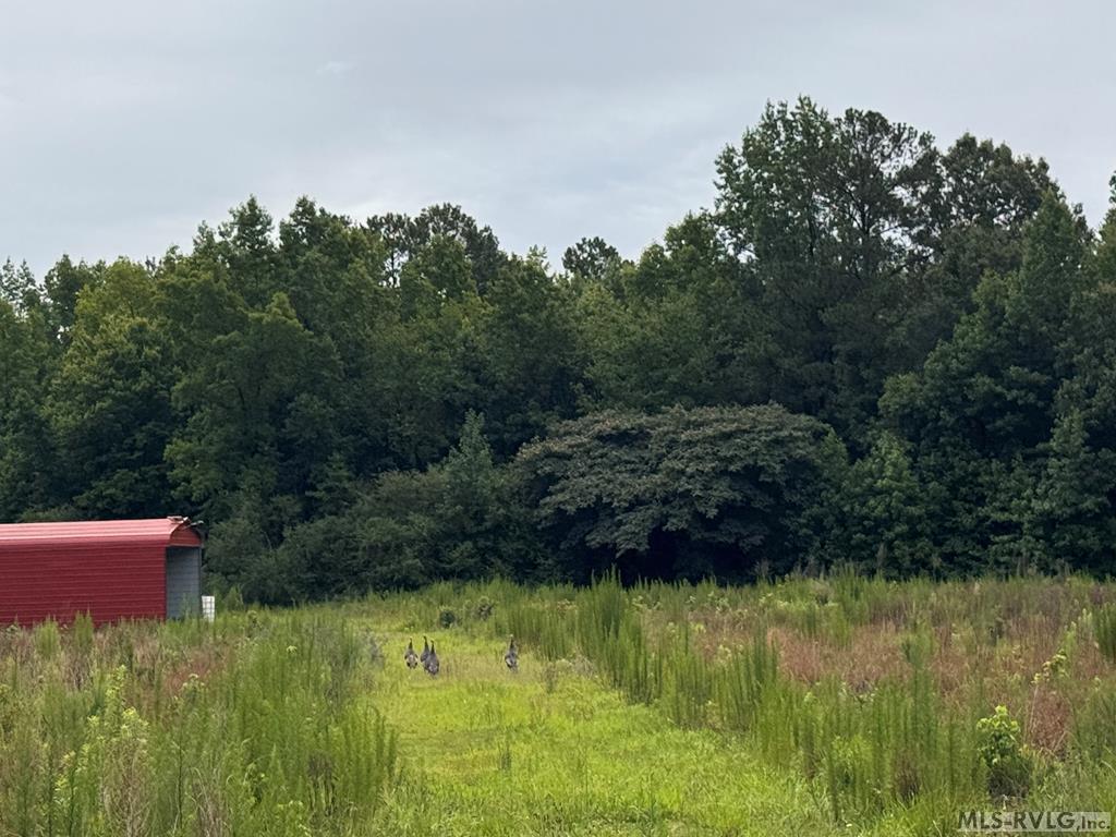 Acreage at TBD Hwy 258, Rich Square NC 27869, photo 19 of 19