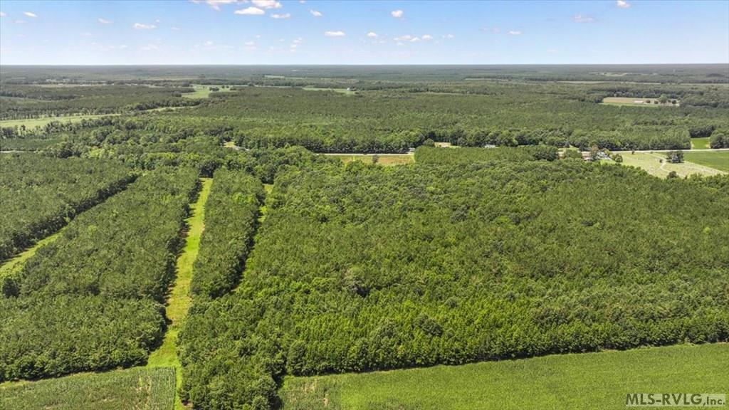 Acreage at TBD Hwy 258, Rich Square NC 27869, photo 2 of 19