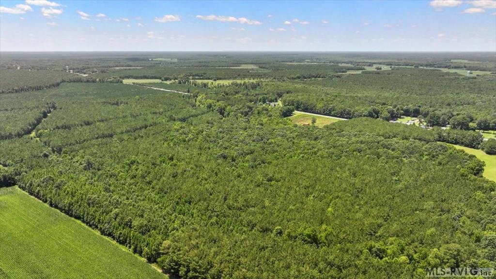 Acreage at TBD Hwy 258, Rich Square NC 27869, photo 3 of 19