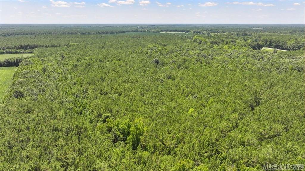 Acreage at TBD Hwy 258, Rich Square NC 27869, photo 4 of 19
