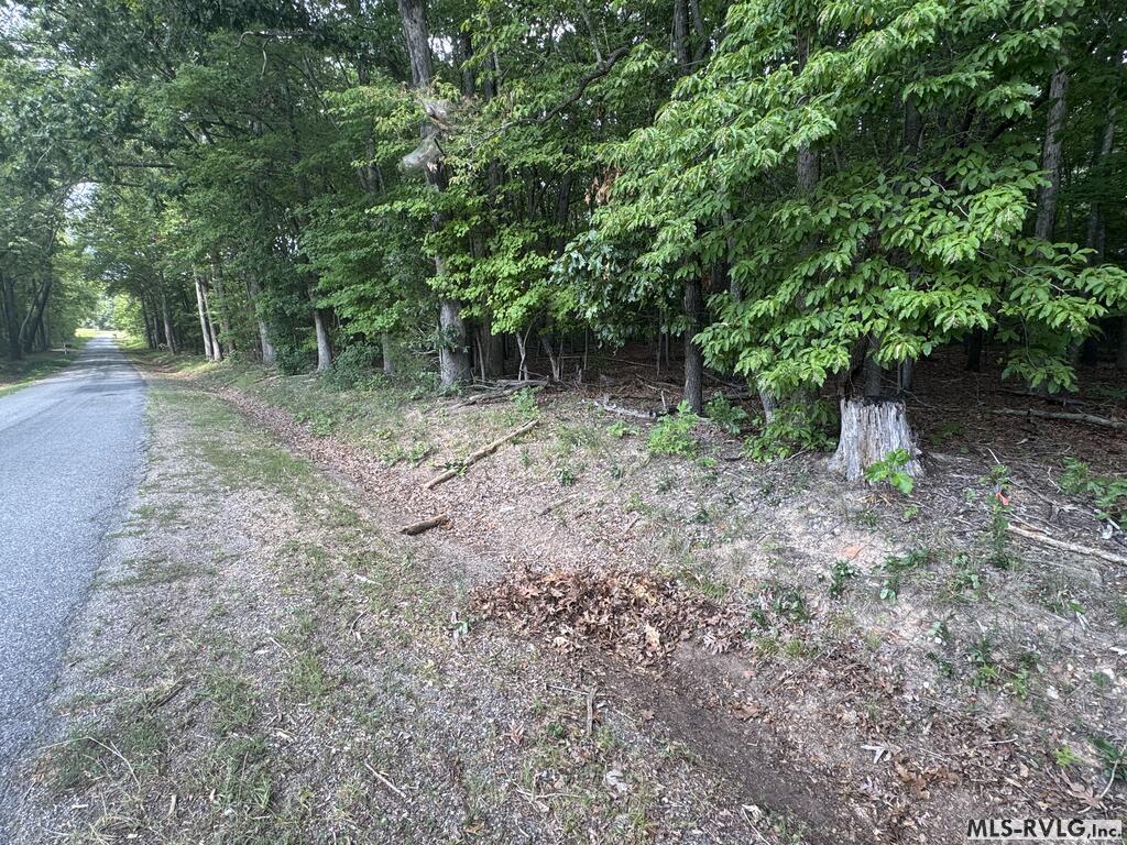 Other-See Remarks at Lot 1D Mill Creek Road, Clarksville VA 23927, photo 12 of 17