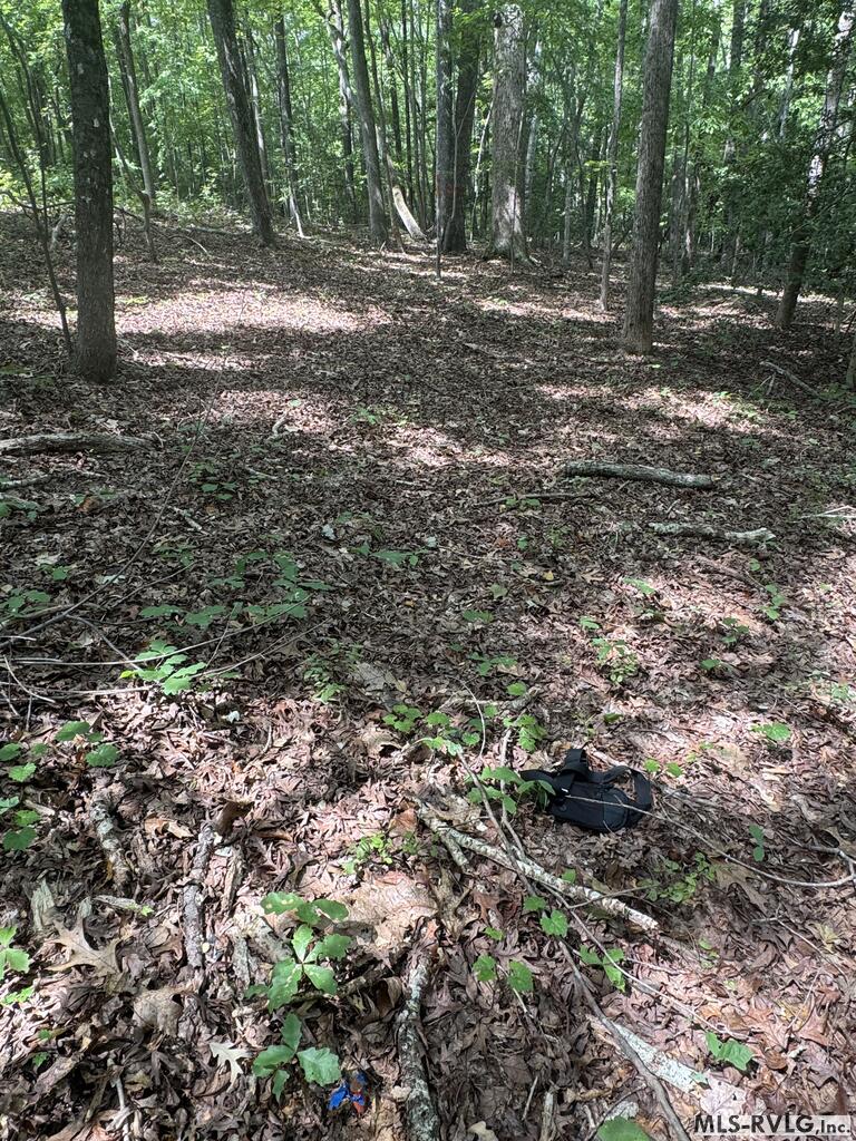Other-See Remarks at Lot 1D Mill Creek Road, Clarksville VA 23927, photo 14 of 17