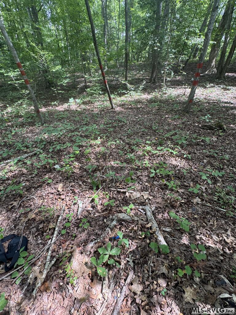 Other-See Remarks at Lot 1D Mill Creek Road, Clarksville VA 23927, photo 16 of 17
