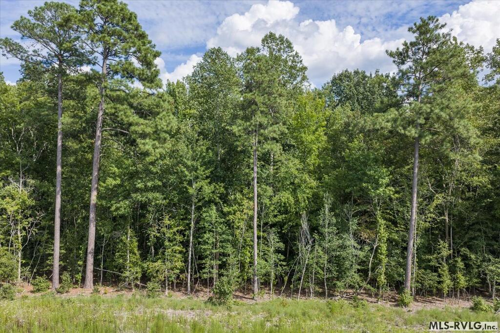 Residential Lot-Restricted at Lot 41 Valentines St., Gasburg VA 23857, photo 10 of 14