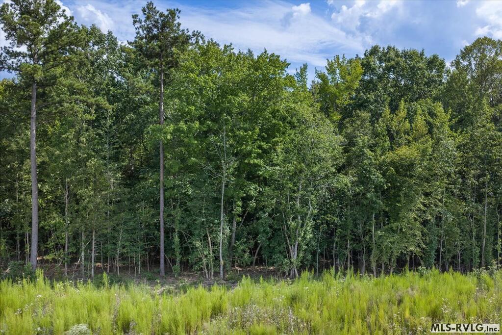 Residential Lot-Restricted at Lot 41 Valentines St., Gasburg VA 23857, photo 11 of 14