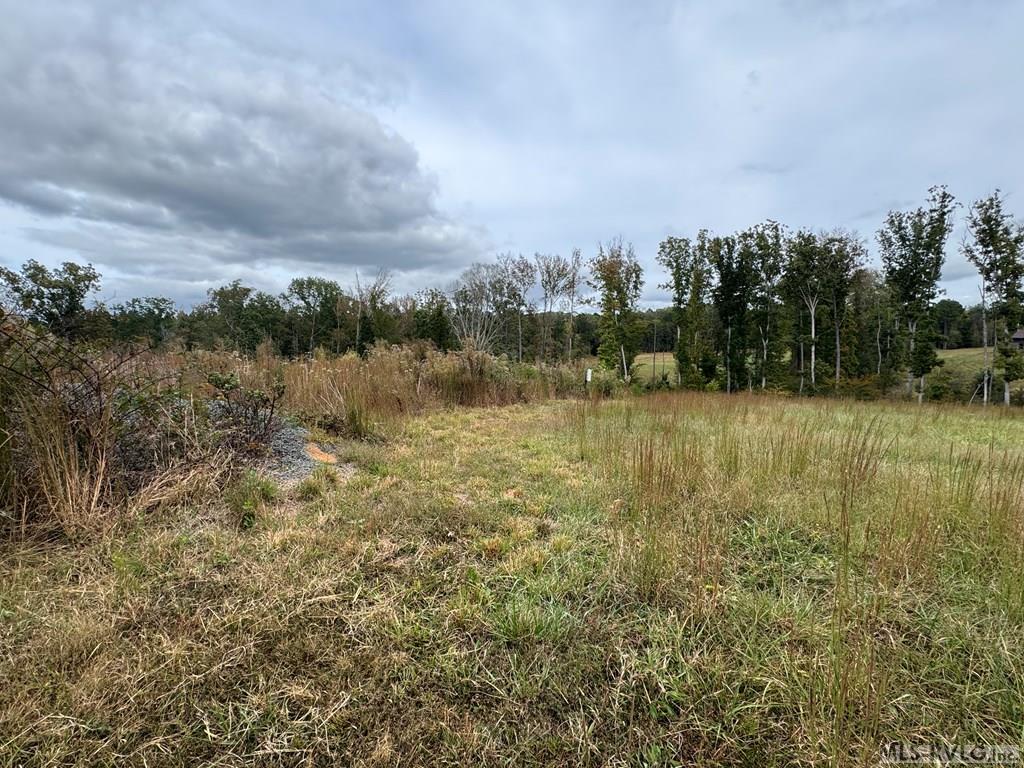 Acreage at 468 Marrow Lane, Oxford NC 27565, photo 13 of 25