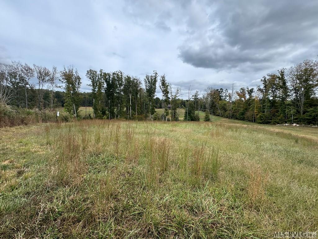 Acreage at 468 Marrow Lane, Oxford NC 27565, photo 14 of 25