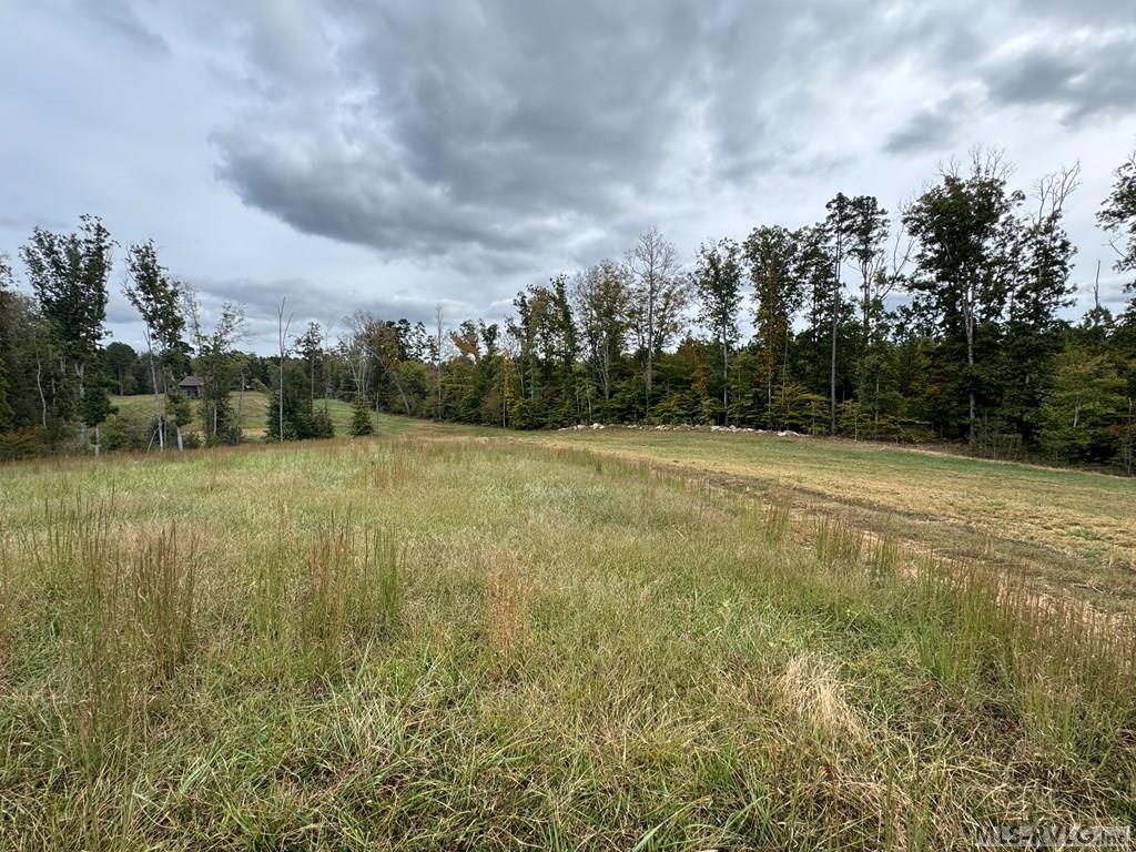 Acreage at 468 Marrow Lane, Oxford NC 27565, photo 15 of 25