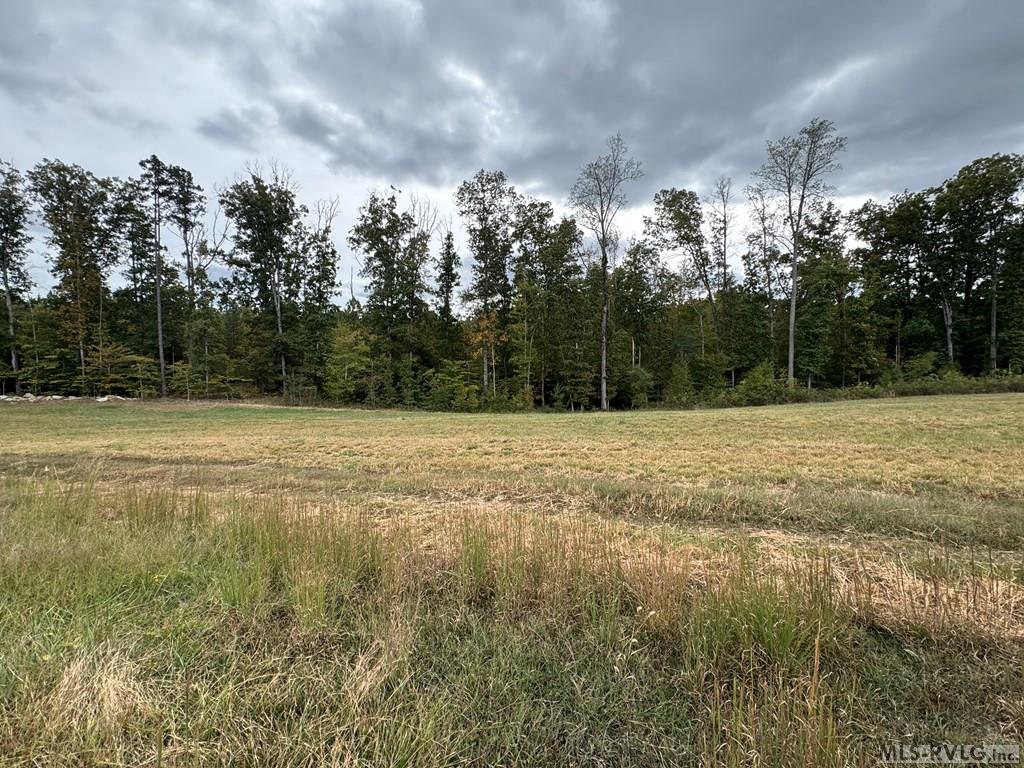 Acreage at 468 Marrow Lane, Oxford NC 27565, photo 16 of 25